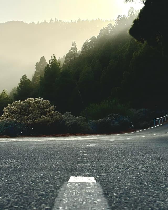 landscape-3