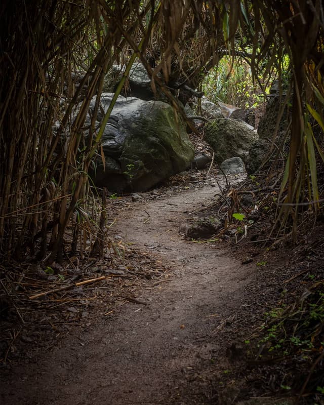 landscape-5