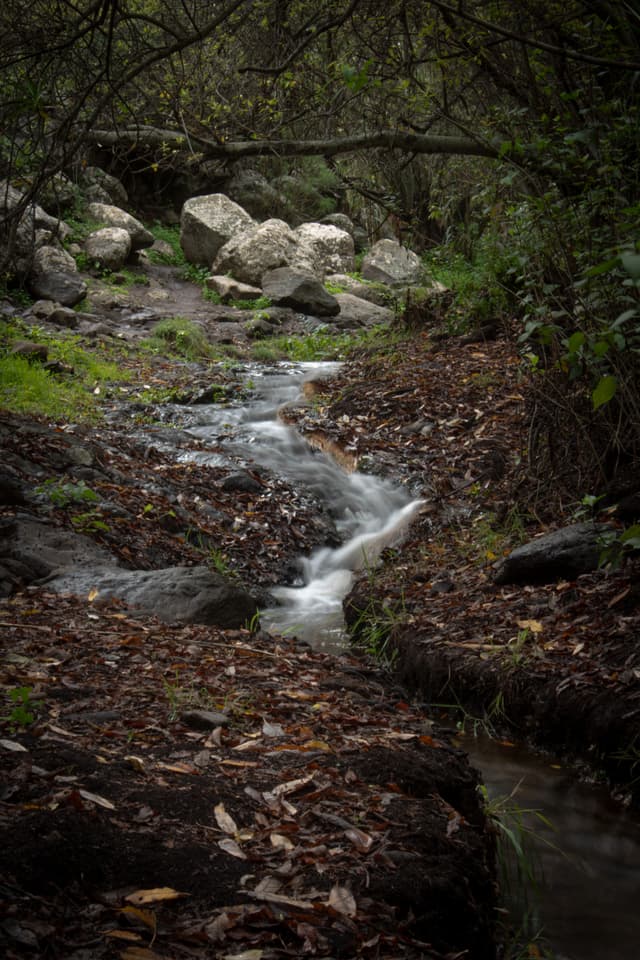 landscape-11