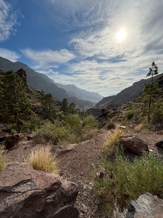 landscape-12