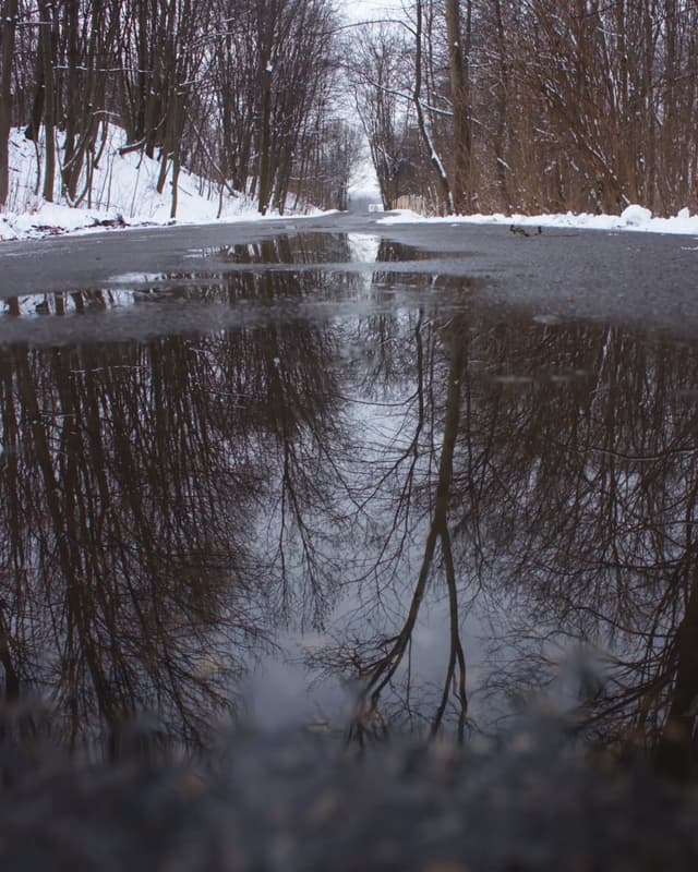 landscape-13