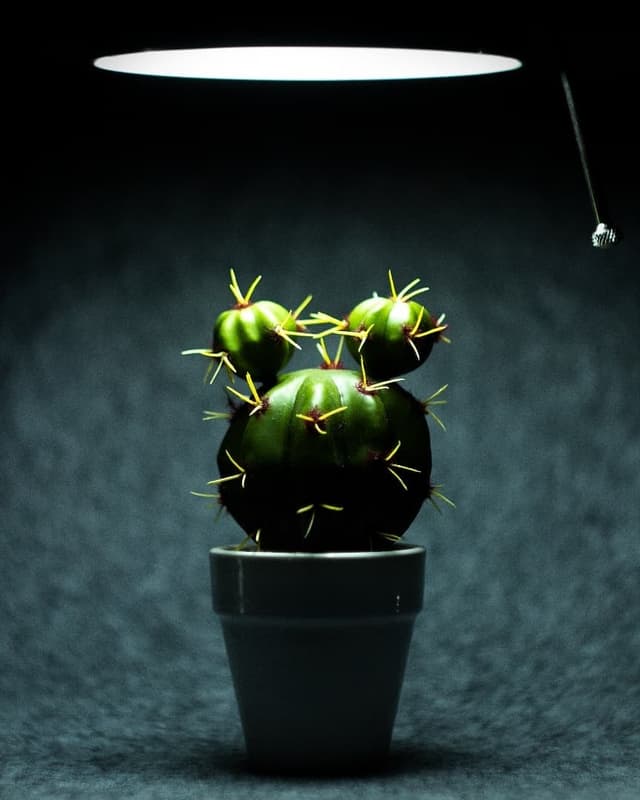 object-5